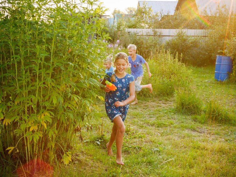 A family picking fresh vegetables from a chemical-free backyard garden