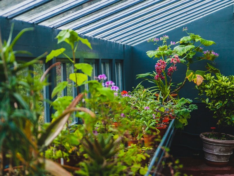 A productive patio garden with cold frame and containers in winter, showcasing year-round harvesting