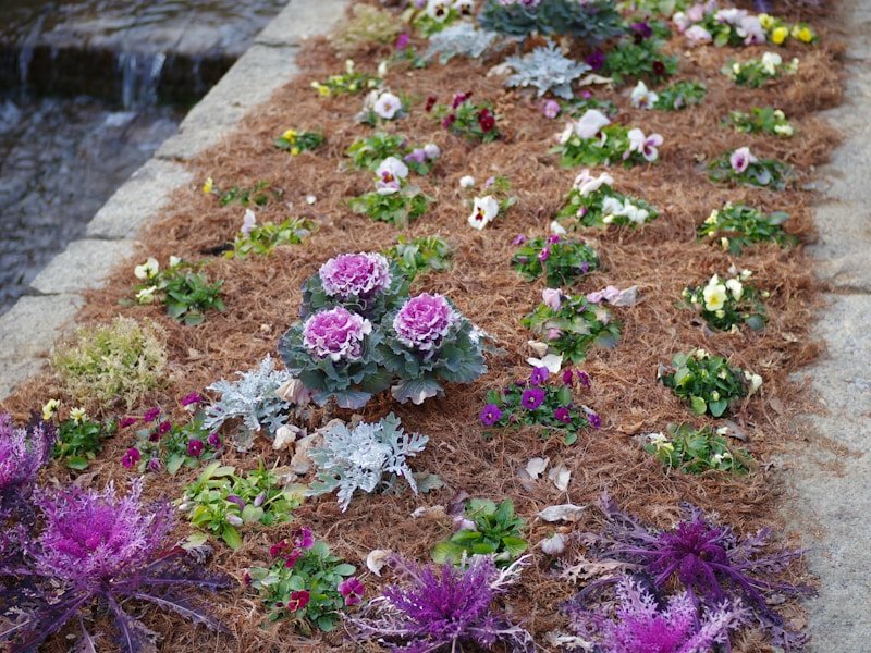 A resilient vegetable garden with raised beds, row covers, and drip irrigation after a storm