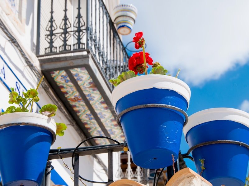 A thriving patio vegetable garden with tomatoes, peppers, and herbs in colorful pots on a sunny balcony