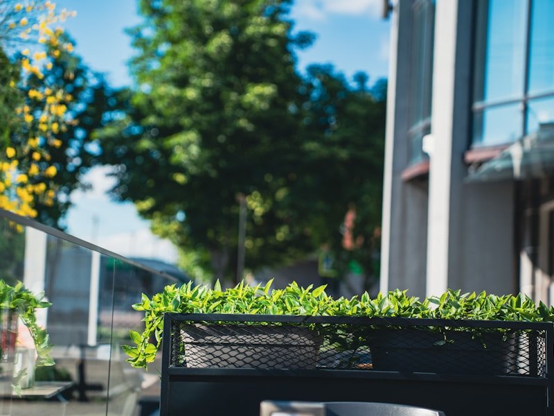 Low-maintenance patio garden with succulents and self-watering pots on a modern balcony