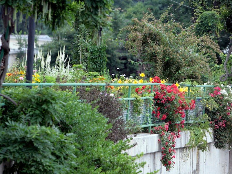 Patio vegetable garden with self-watering containers and vertical trellis growing tomatoes and cucumbers