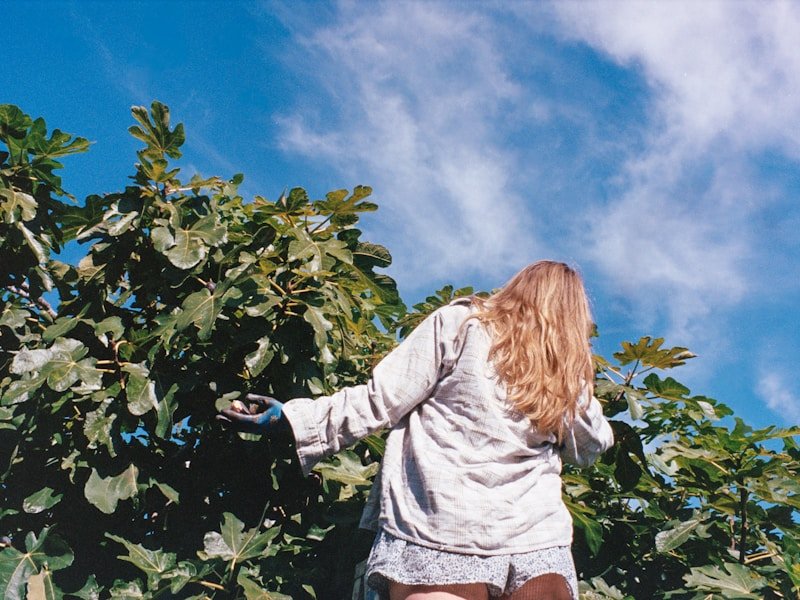 Person harvesting ripe peaches from a small backyard tree, smiling with basket full of fruit