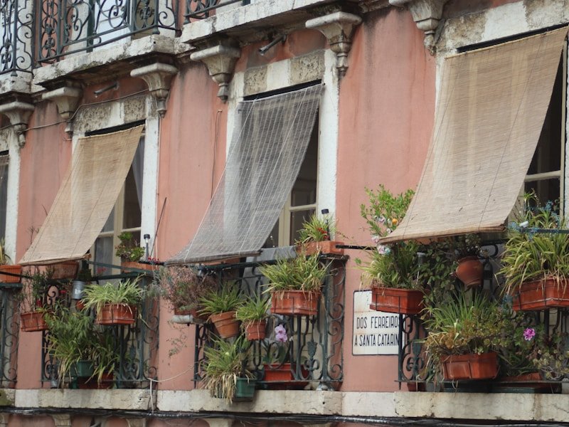 Small balcony with potted vegetables including tomatoes, lettuce, and herbs in containers