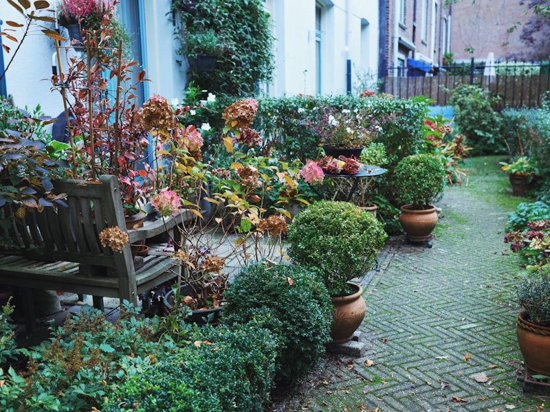 Urban backyard with small raised beds full of organic vegetables and herbs