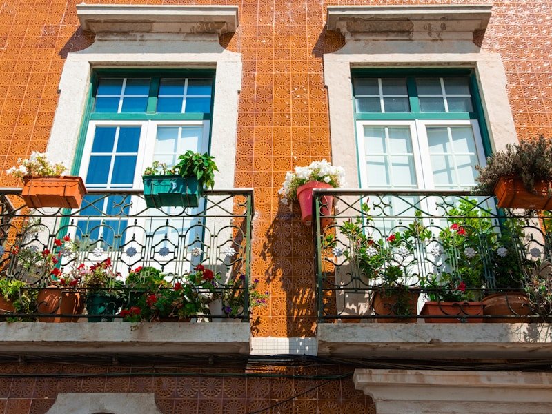 Urban balcony vegetable garden with pots of tomatoes, lettuce, and herbs on a railing