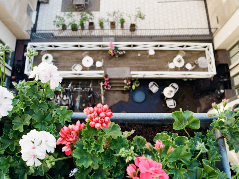 Vertical vegetable garden on a small balcony with trellises and climbing plants