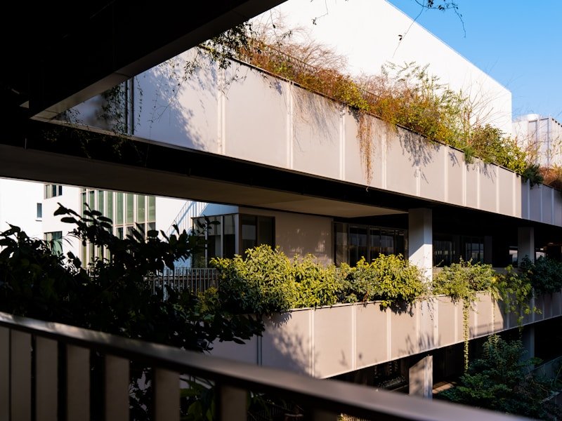A commercial balcony pepper container with basil and marigold companion plants arranged efficiently.