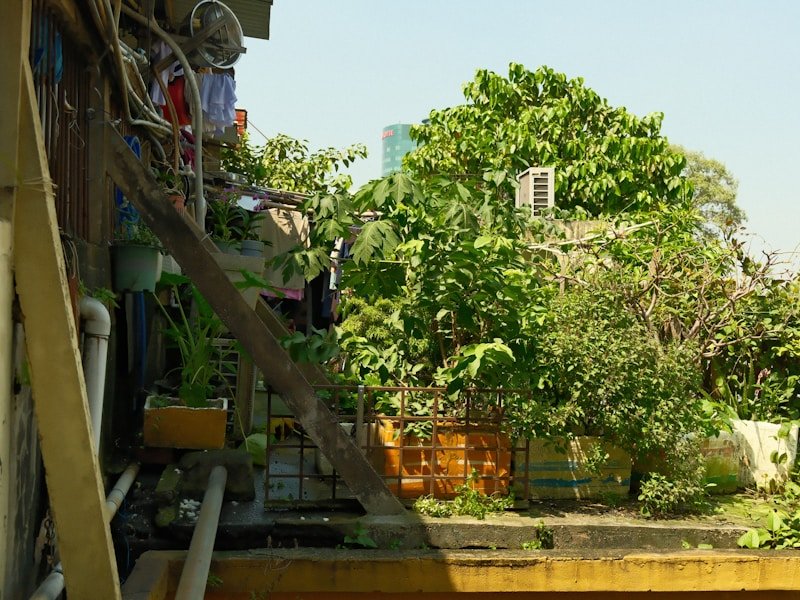 Automated drip irrigation system for balcony vegetable garden with zoned watering schedule