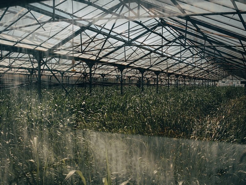 Best trellis for potted vegetables in a commercial greenhouse
