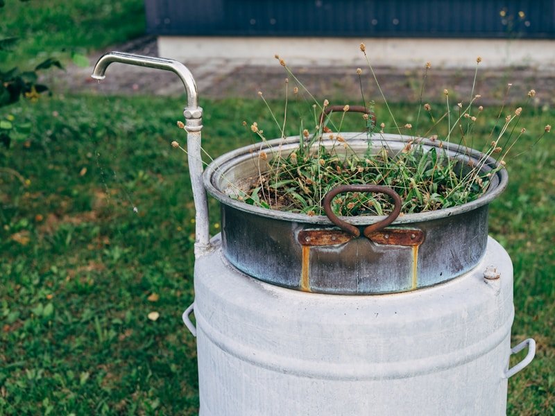 Brewing DIY compost tea for potted vegetables