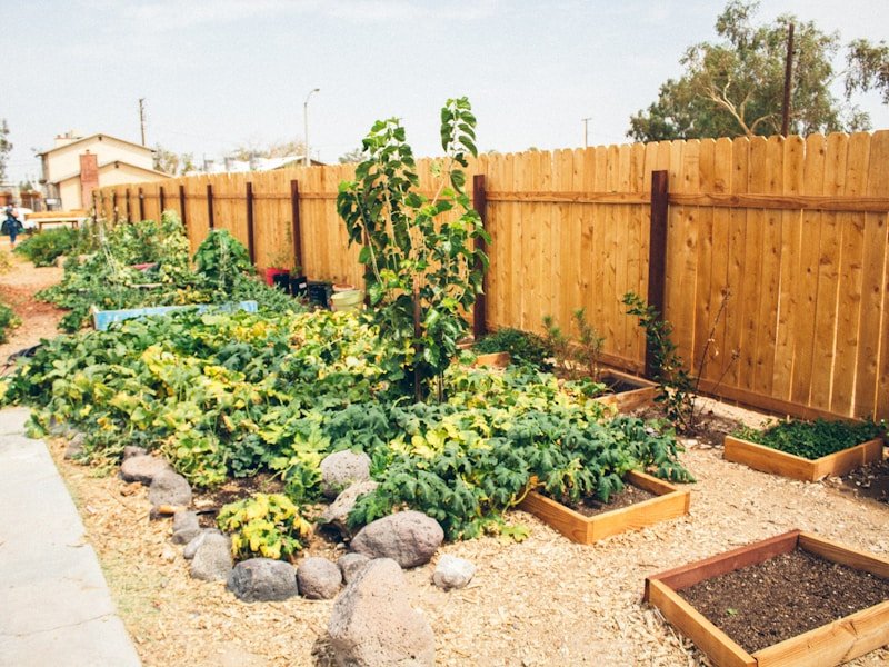 Climate-resilient backyard vegetable garden with raised beds, shade cloth, and drip irrigation