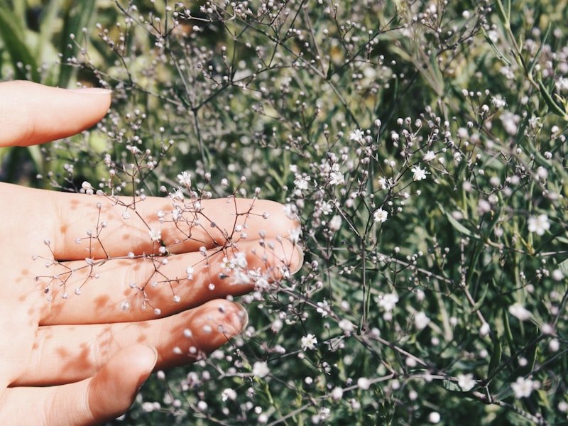 Close-up of hand holding moist professional potting soil mix with perlite and coir
