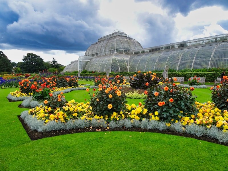 Commercial companion planting for space saving in a greenhouse