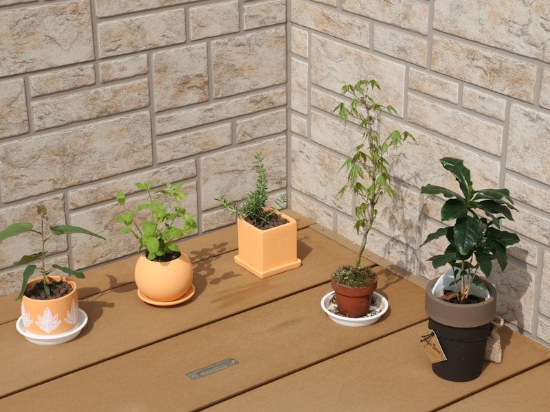 Comparison of self watering pot materials