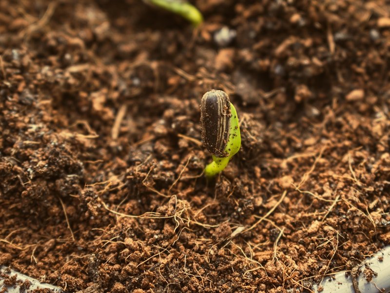 Organic worm castings being blended into container potting mix