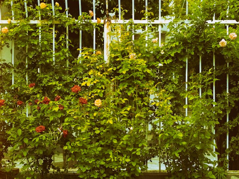 Vertical companion planting layout for space efficiency
