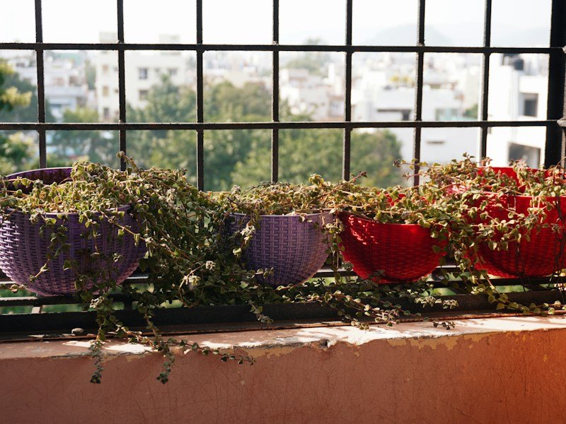 Cheap grow bags for balcony vegetables planted with tomatoes and peppers along a city balcony railing