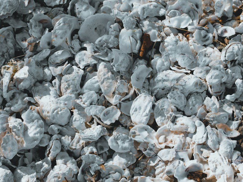 Close-up of DIY potting soil mix with perlite and compost