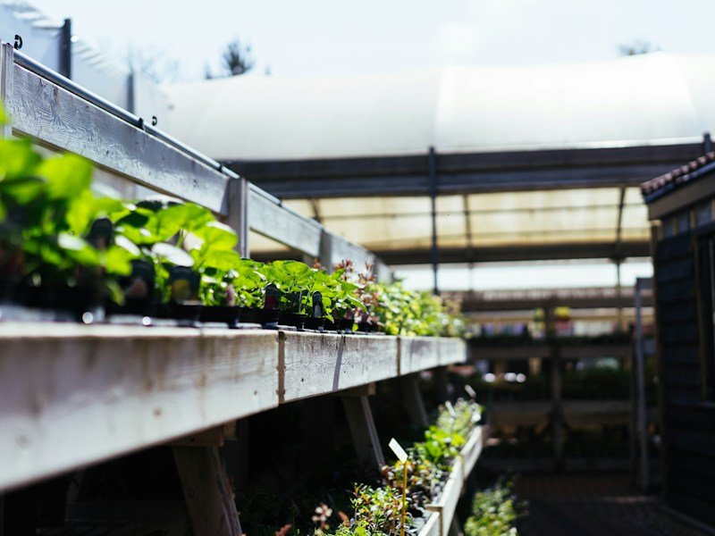 Commercial budget vertical vegetable garden with stacked 5-gallon bucket towers and gutter channels mounted on a sunlit brick wall outside a garden center