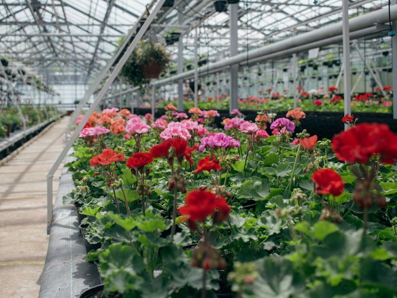 Commercial grower mixing cheap potting soil for containers in a greenhouse