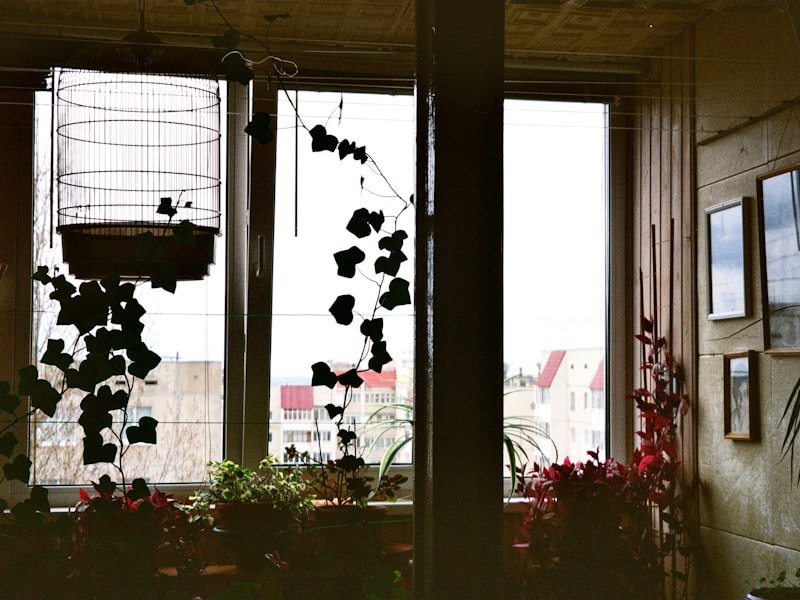 Commercial LED grow lights installed on indoor balcony with plants