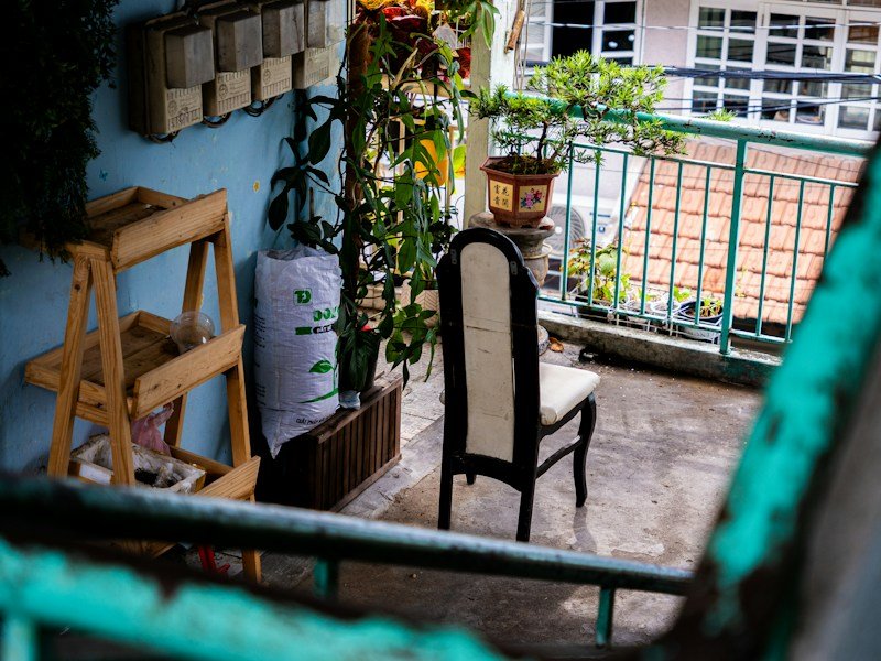 Dwarf apple and patio citrus trees in self-watering containers on a sunny urban balcony with a trellis