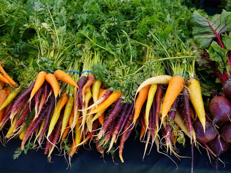 Freshly harvested potted carrots with sweet roots and vibrant orange color