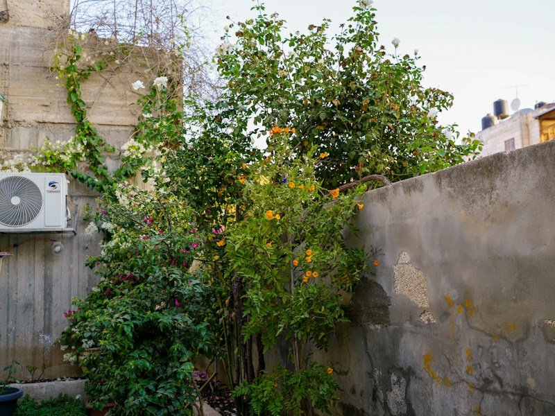 Landscape crew installing a galvanized steel raised bed in a narrow urban backyard