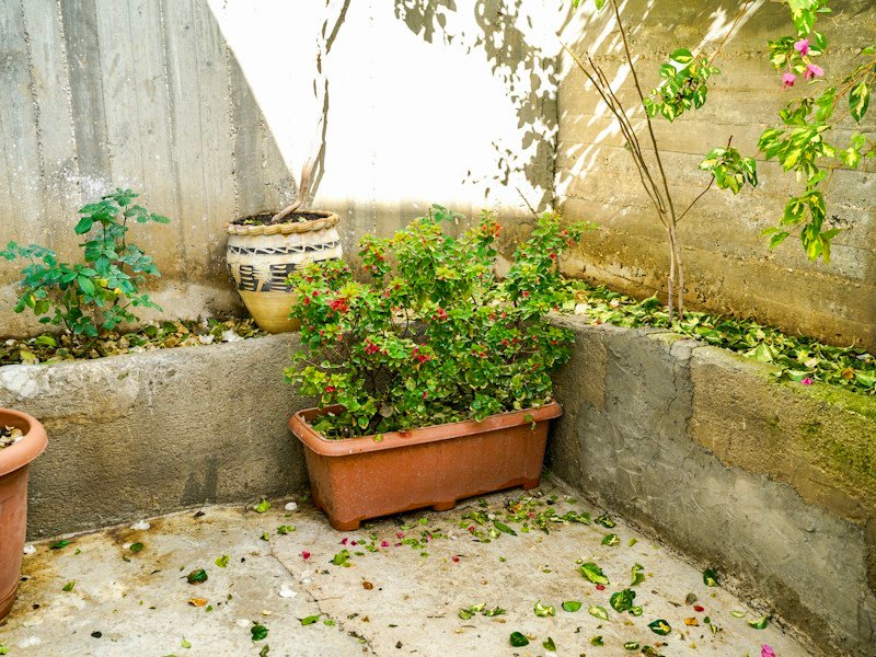 Small patio converted into a layered garden with modular planter walls, raised beds, and a vertical trellis