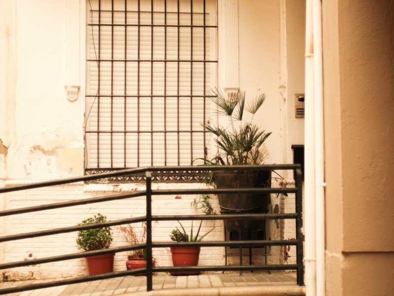 Beginner container gardening course lesson showing potted herbs and a tomato plant on an urban balcony