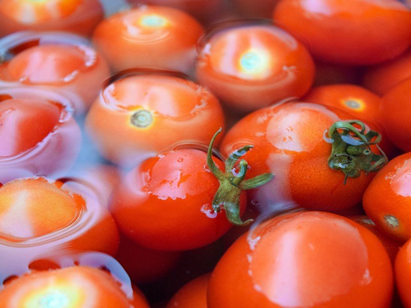 Close-up comparison of radial and concentric cracking on greenhouse container-grown tomatoes
