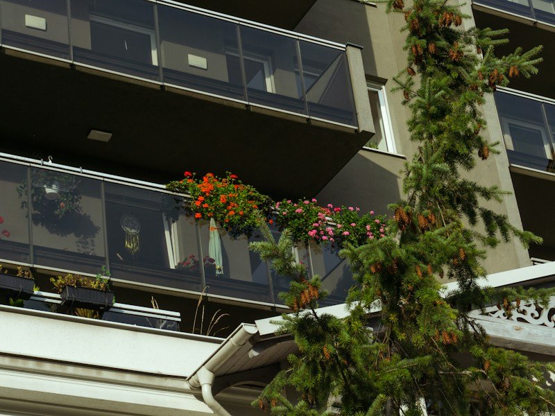 Close-up of vine clips attaching a cucumber leader to galvanized trellis cable on a balcony