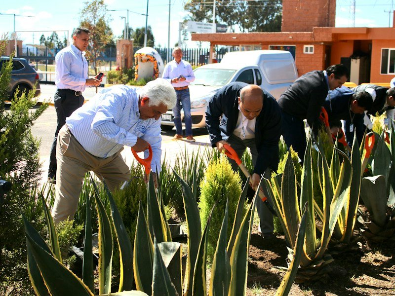 Commercial grower checking drip emitters and coco coir substrate in a high yield container garden