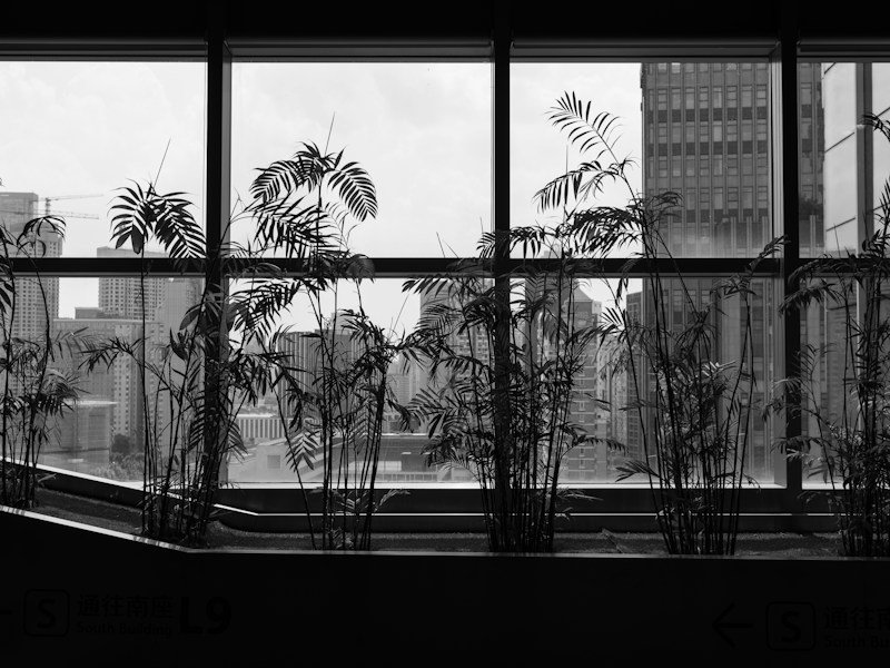 High-floor balcony garden with monitored containers, sticky cards, and screened planters overlooking a city skyline