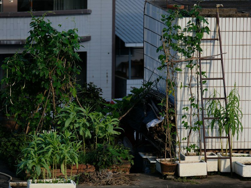 Instructor teaching an organic garden course for small spaces on an urban rooftop container garden