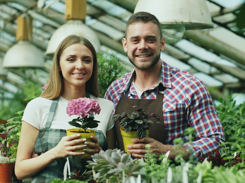 Procurement manager comparing organic vegetable gardening course proposals on a tablet inside a commercial greenhouse