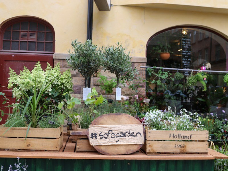 Retail display of balcony vegetable starter kits with seed packets, fabric pots, coir blocks, and moisture meters