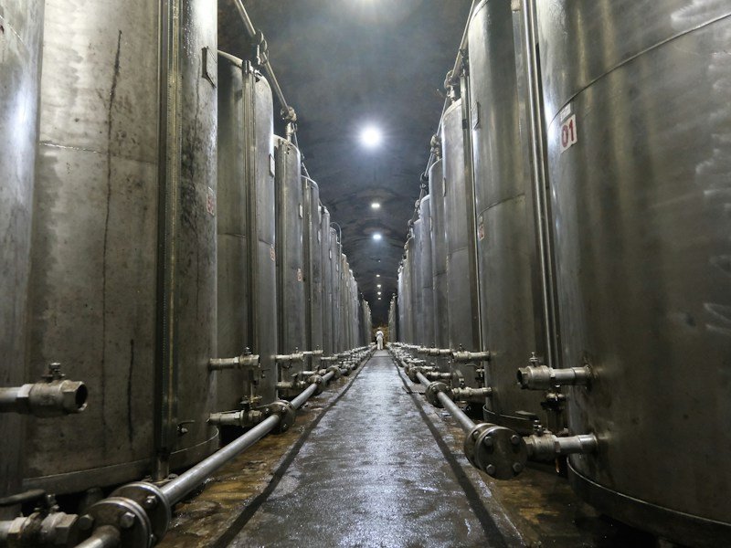 Rows of Dutch buckets and vertical troughs inside a climate-controlled container production facility