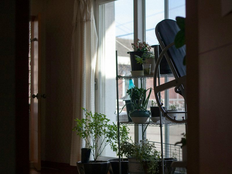 Sunlit urban apartment balcony with tiered fabric grow bags holding lettuce, radishes, basil, and a staked cherry tomato plant