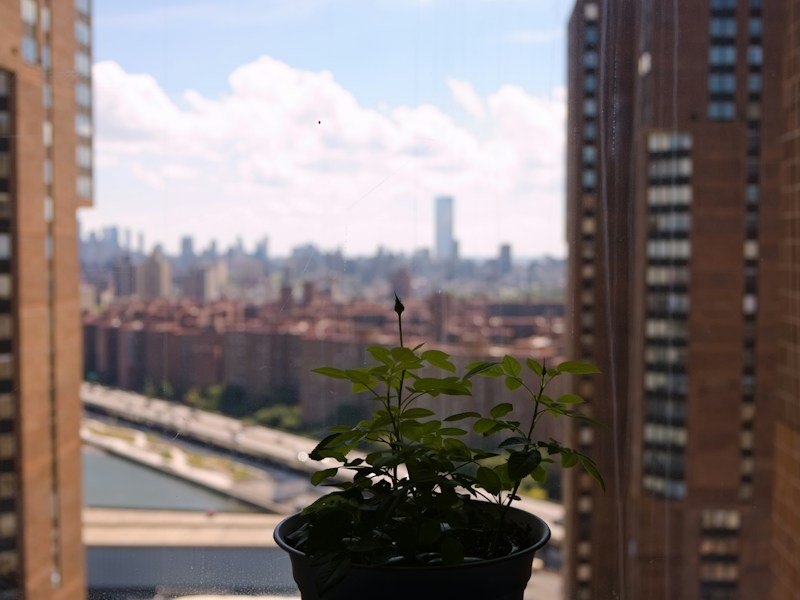 Urban resident scanning a QR code to download a balcony vegetable garden PDF while standing on a small city balcony with container plants